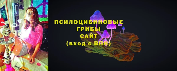 герыч Бородино