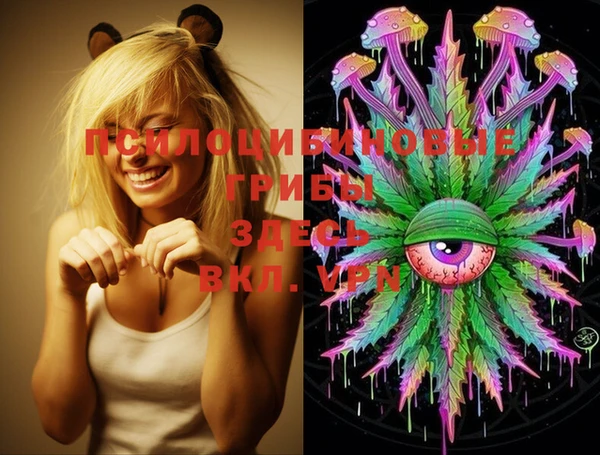 MDMA Premium VHQ Бронницы